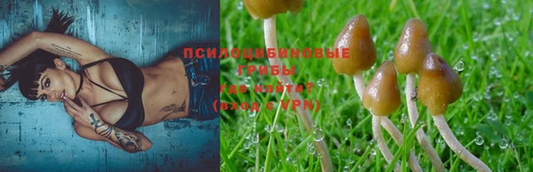 спиды Белоозёрский