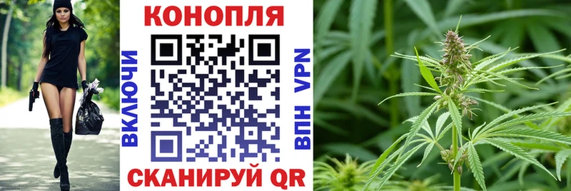 хочу   ОМГ ОМГ   площадка формула  Вышний Волочёк  Бошки марихуана THC 21% 